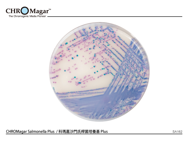 科瑪嘉 Salmonella Plus / 科瑪嘉 沙門氏桿菌培養基 Plus