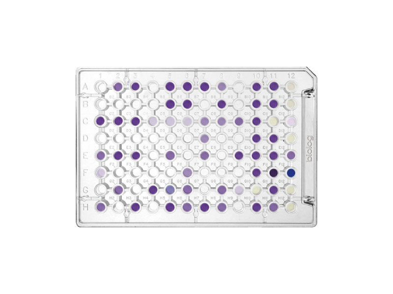 微生物鑑定96孔培養盤